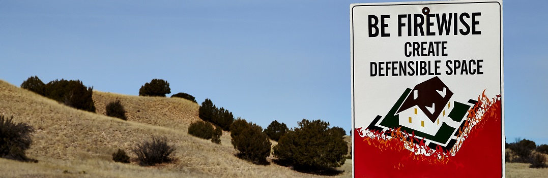 Defensible Space