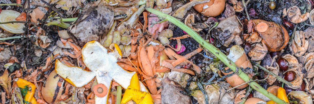 Food Waste Reduction Tips
